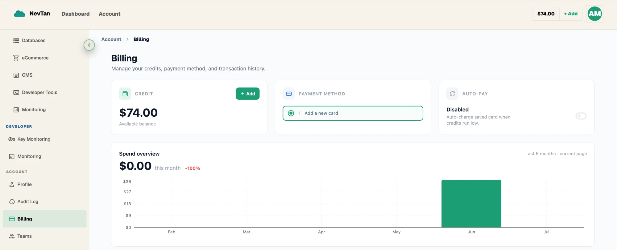 Billing overview screen showing the current plan, tier, and live credit balance