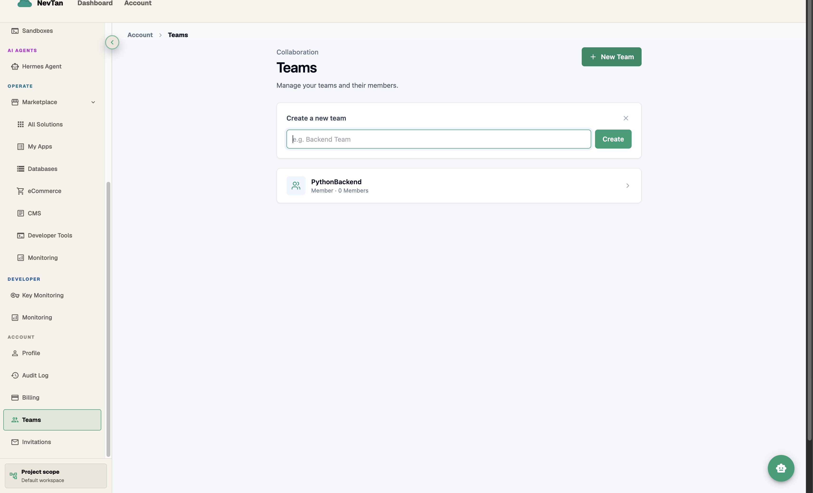 Teams page with a Create a new team field